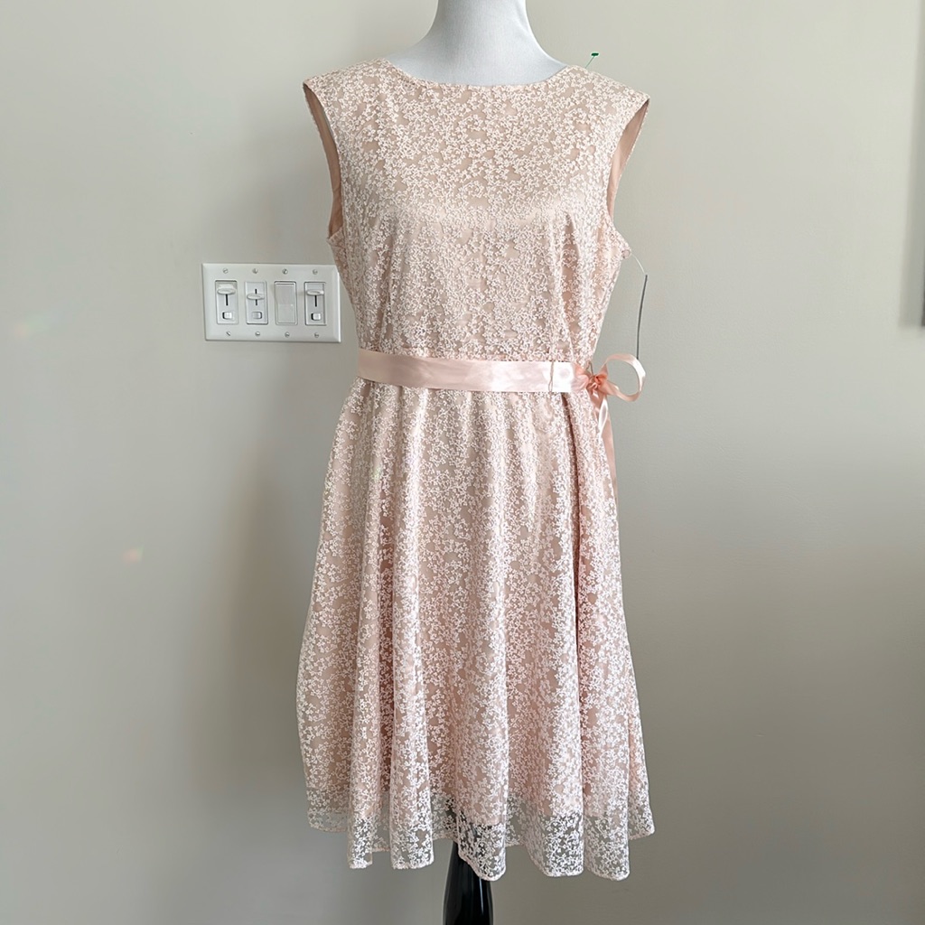 Tahari Arthur S. Levine Petite Dress